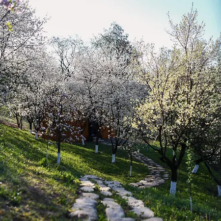 Casuta Din Livada Villa Măneciu Exterior photo